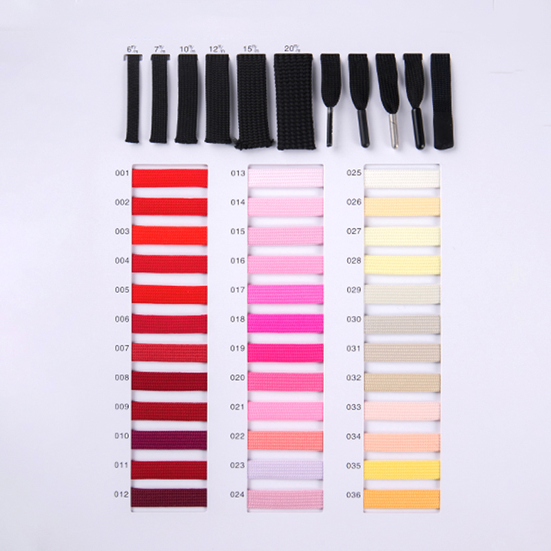 كتالوج عينة الشركة